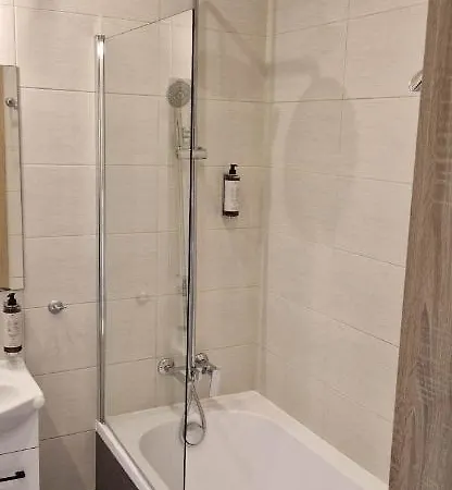 Cosy W Poblizu Tauron Arena 克拉科夫